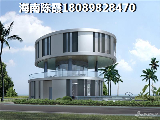 金蚊蜓