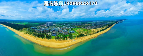 sfc是什么意思啊