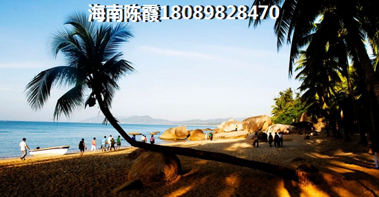 诚信有关的公司名