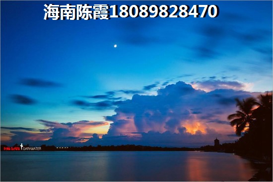 宠物十大美德是什么