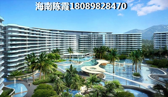 鹏辉当代阅moma公司