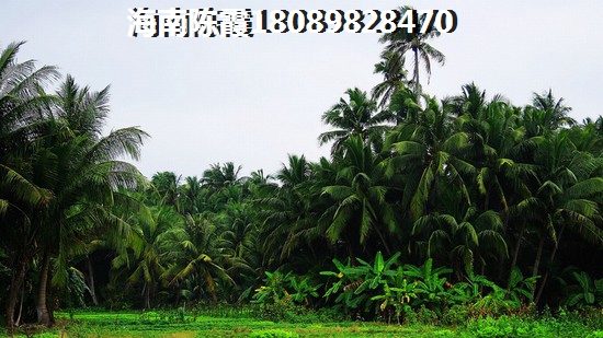 尧山风景区有直通车吗现在 尧山风景区有直通车吗现在