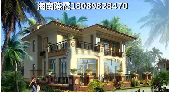 梧桐山醉高景点叫什么
